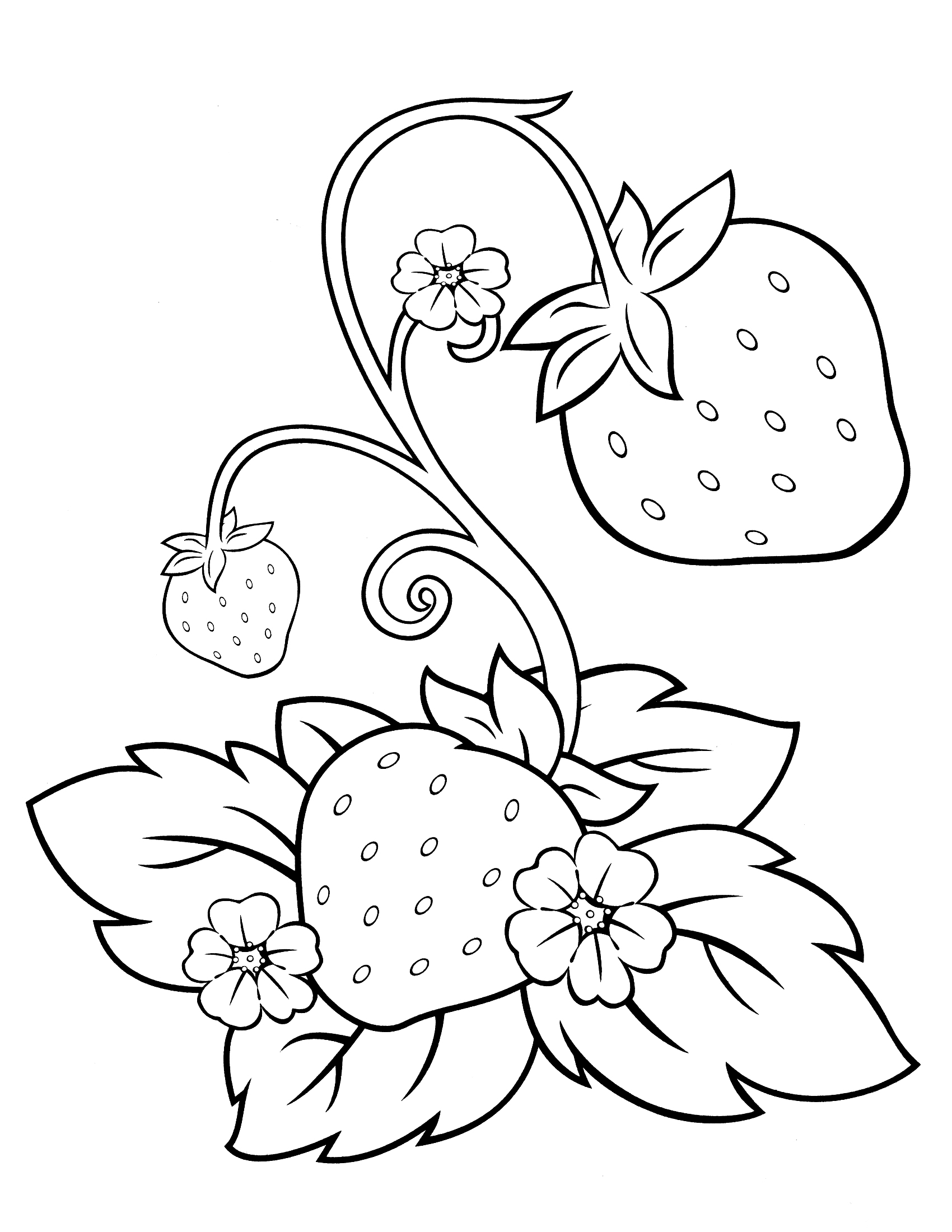 1700x2200 Strawberry Coloring Pages