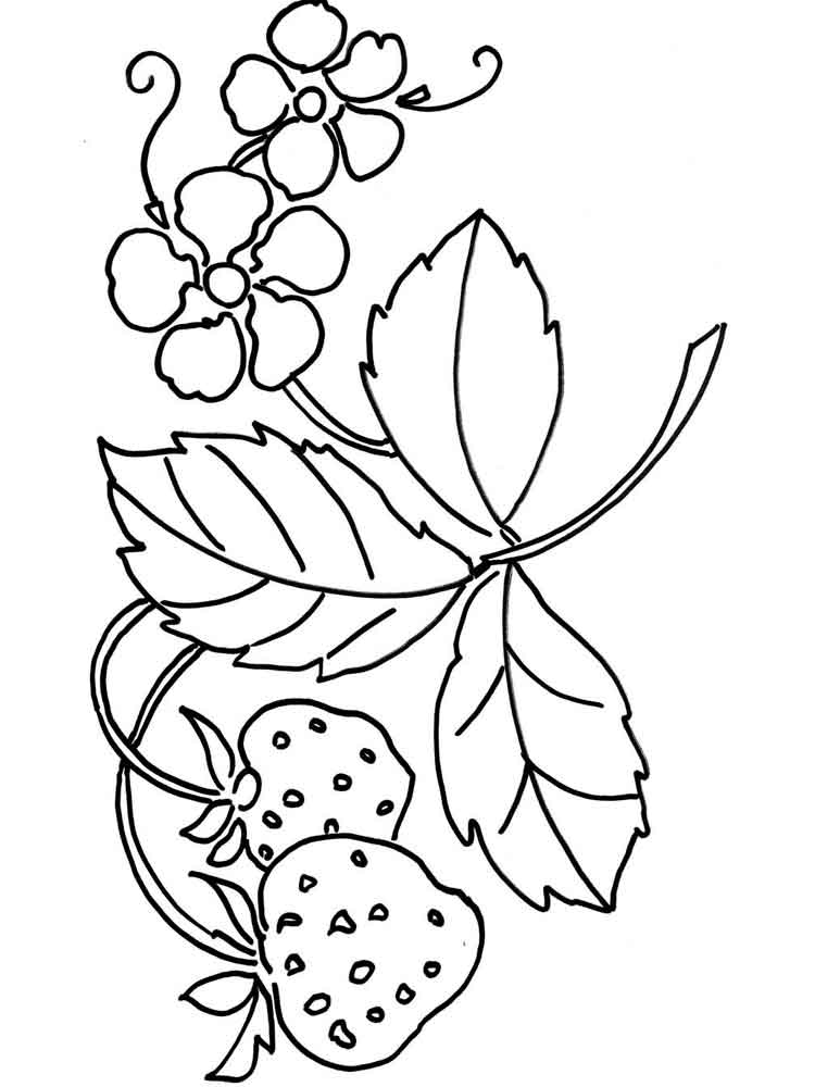 750x1000 Strawberry Berries Coloring Pages