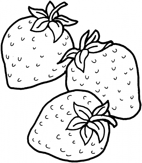 459x525 Strawberry Clipart Coloring Page