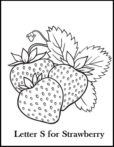 392x507 The Best Chosen Illustrations Of Strawberry Coloring Pages