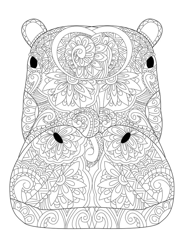 750x1000 Head Hippopotamus Coloring Book Vector Illustration Anti Stress