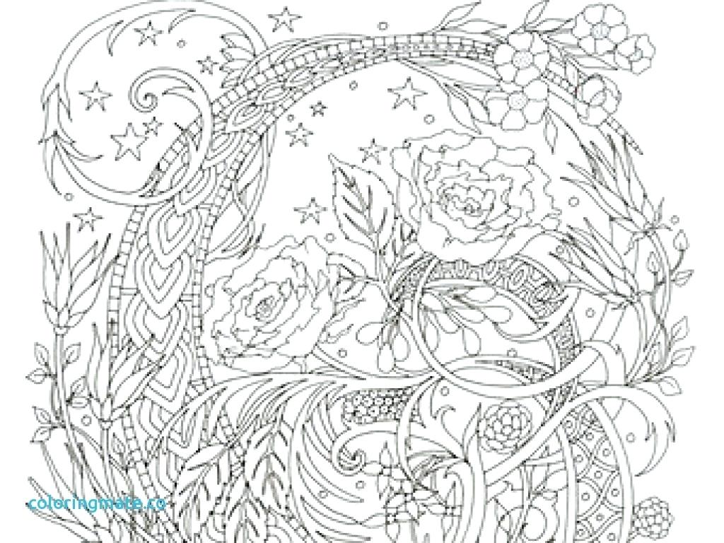 1024x768 Stress Coloring Pages Relieving To Print Pictures Fabulous Paisley