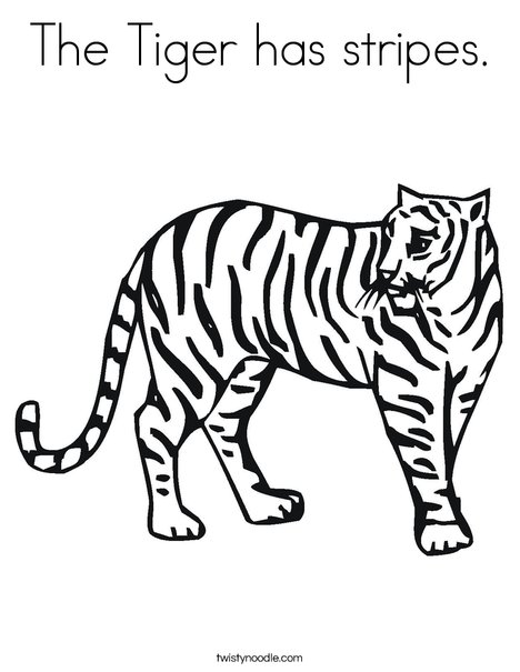 468x605 The Tiger Has Stripes Coloring Page