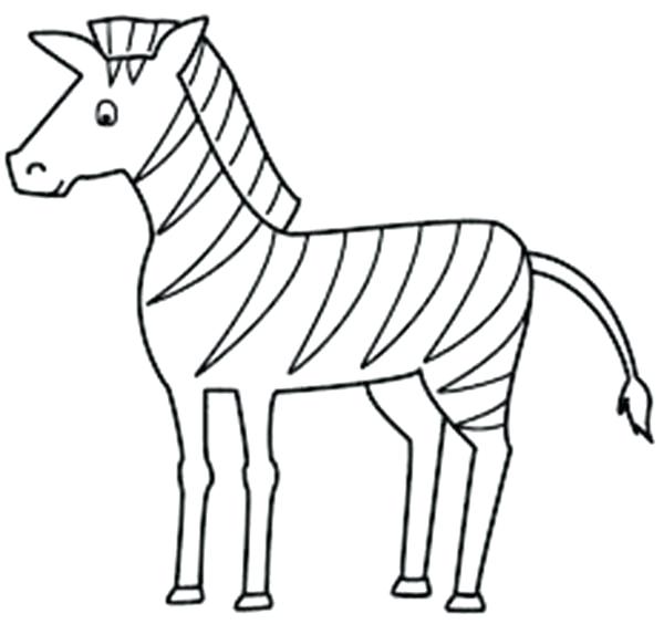 600x564 Zebra Without Stripes Coloring Pages Free Sweet Color Sheet