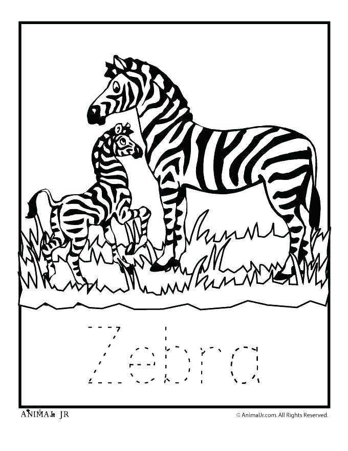 680x880 Zebra Stripes Coloring Pages Coloring Pages Collection