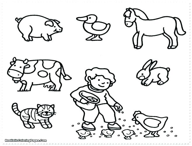 658x500 Real Animal Coloring Pages Stuffed Animal Coloring Pages Nocturnal