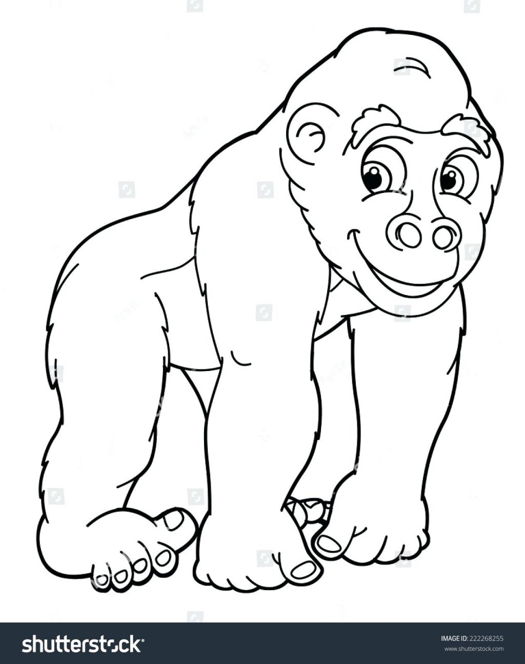 1024x1294 Successful Gorilla Coloring Pages Page Cartoon