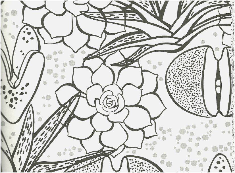 827x609 Unique Coloring Pages View Succulent Coloring Page Rock Plant