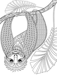 236x311 Adult Coloring Books Art