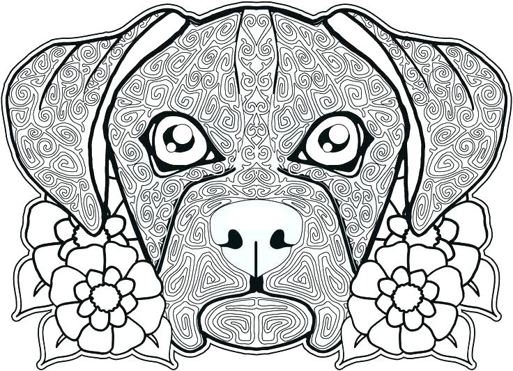 736x533 Free Sugar Skull Coloring Pages Day Of The Dead History And Free