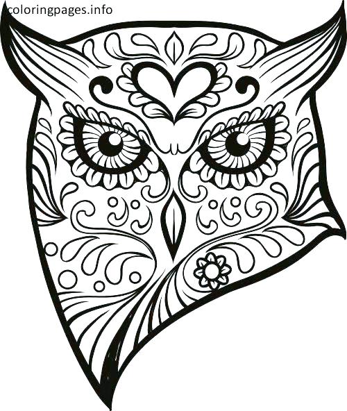 500x592 Free Sugar Skull Coloring Pages Sugar Skull Owl Coloring Sheet