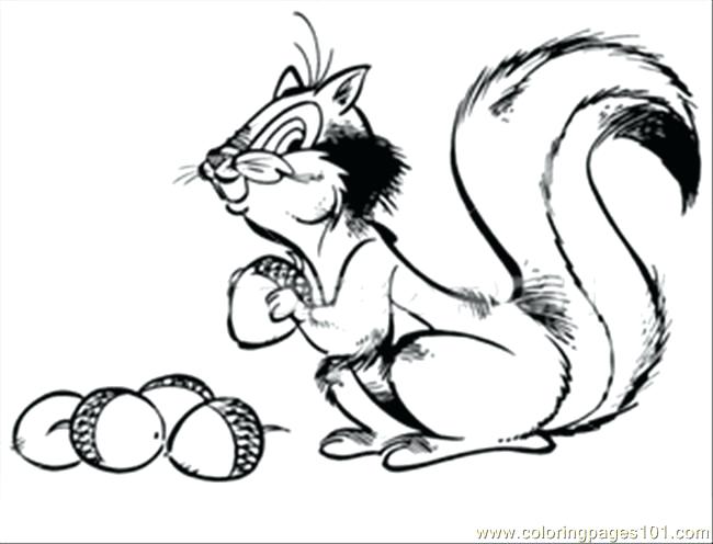 650x496 Suitcase Coloring Page Squirrel With Acorn Coloring Page Panda