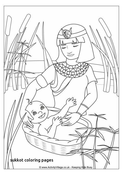 480x679 Passover Coloring Pages Free Printable Luxury Jewish Coloring