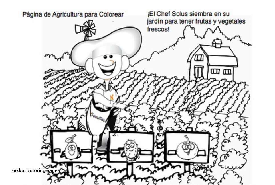 964x650 Sukkot Coloring Pages Printable Awesome Best Sunday School