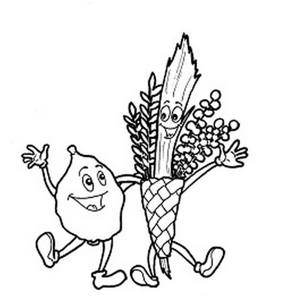 569x607 Sukkot Coloring Pages