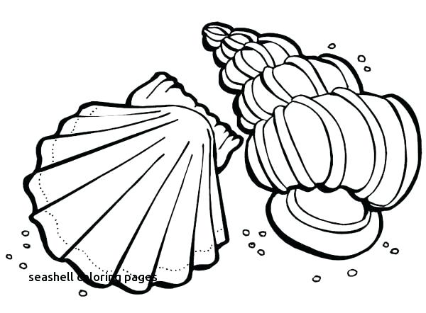 600x442 Seashell Coloring Pages Photo Gallery Of Summer Beach Coloring