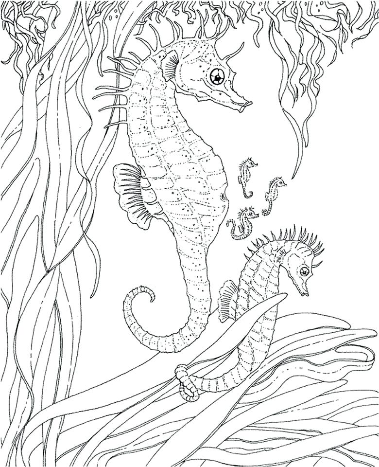780x960 Free Printable Summer Coloring Pages For Adults Sh