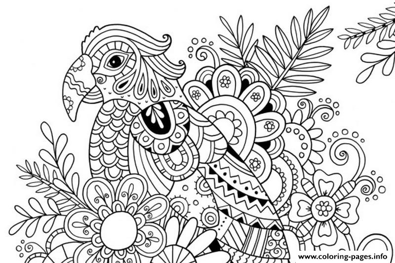 800x533 Adult Summer Flower Color Coloring Pages Printable