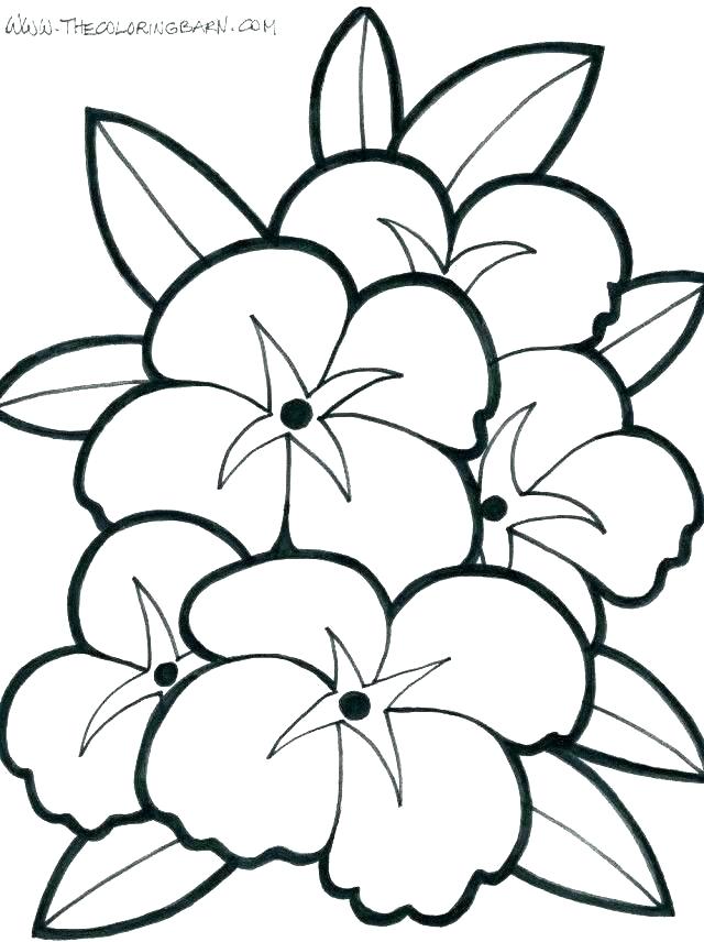 640x856 Kids Coloring Pages Summer Ideas About Summer Coloring Pages