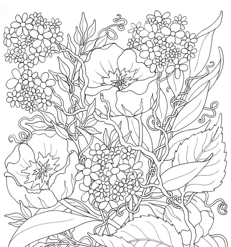 769x825 Adult Coloring Page Summer Flowers