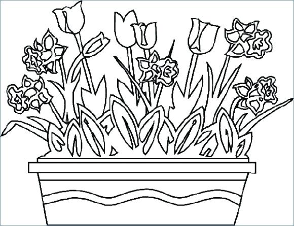 580x446 Summer Flowers Coloring Pages Printable Flower Spring Degree