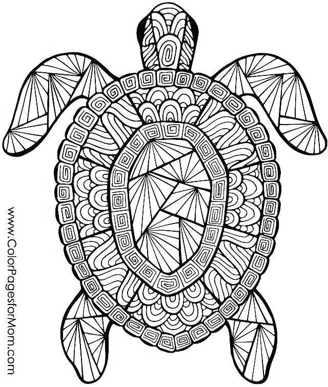 640x755 Free Summer Coloring Sheets Free Printable Summer Olympic Coloring