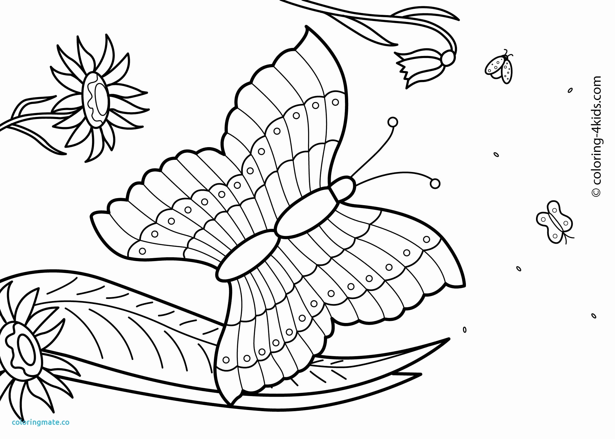 2079x1483 Summer Coloring Pages Free Unique Summer Coloring Pages Pdf New