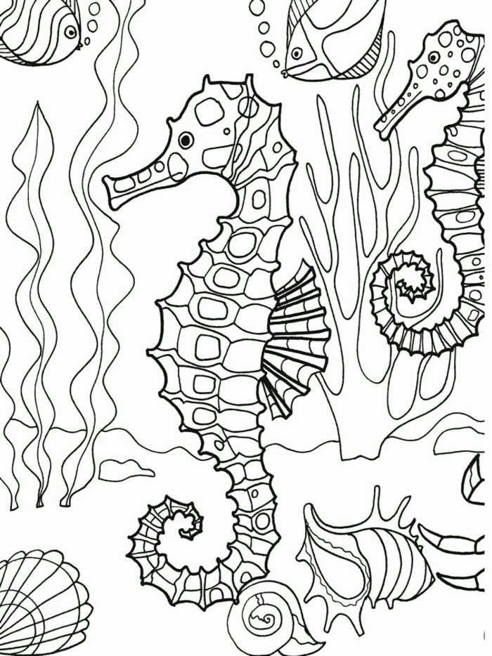 700x934 Adult Coloring Pages Beach Image Beach Coloring Pages For Adults