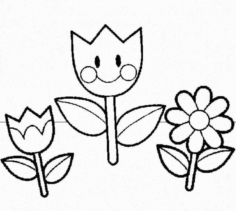 792x708 Preschool Coloring Pages The Sun Flower Pages