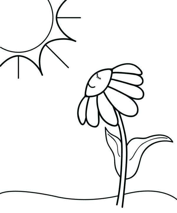 600x720 Sun Coloring Page