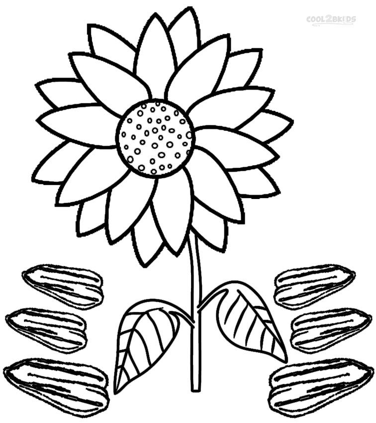 756x850 Printable Sunflower Coloring Pages For Kids Plant
