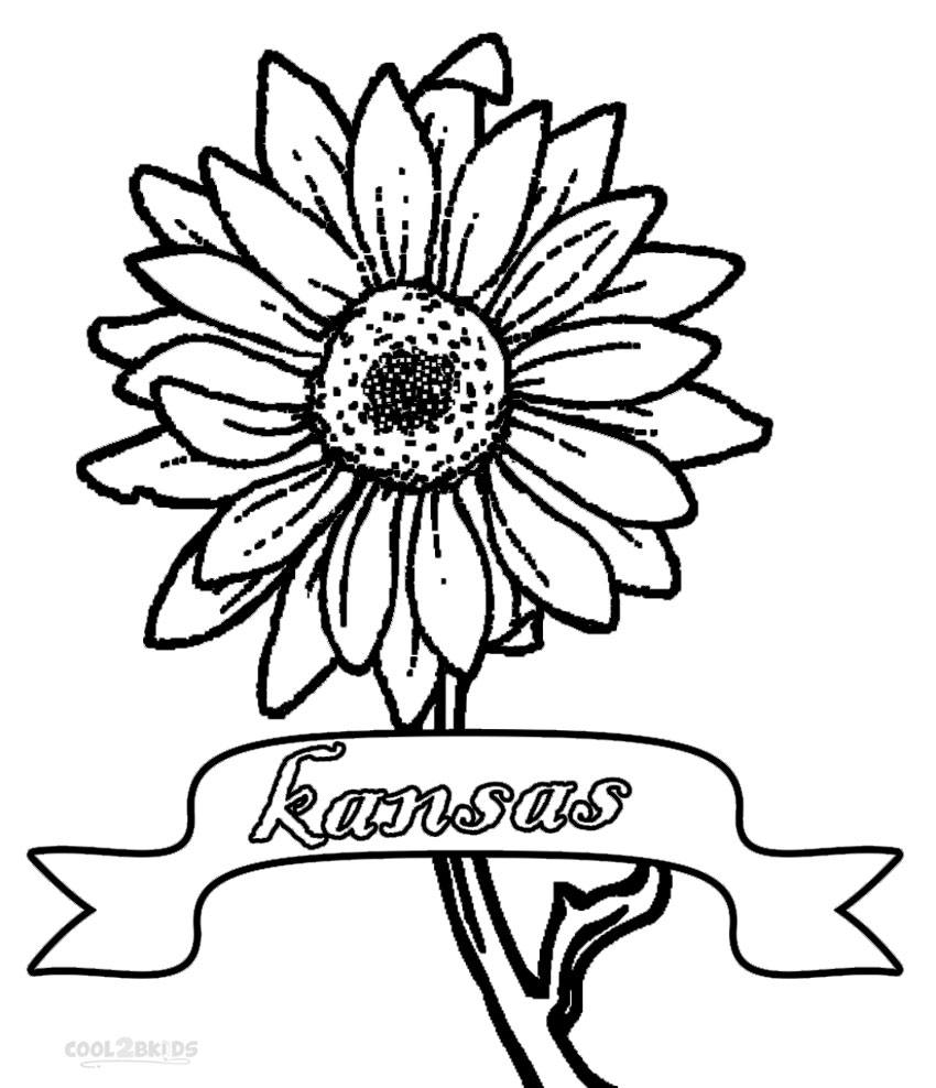 850x988 Printable Sunflower Coloring Pages For Kids