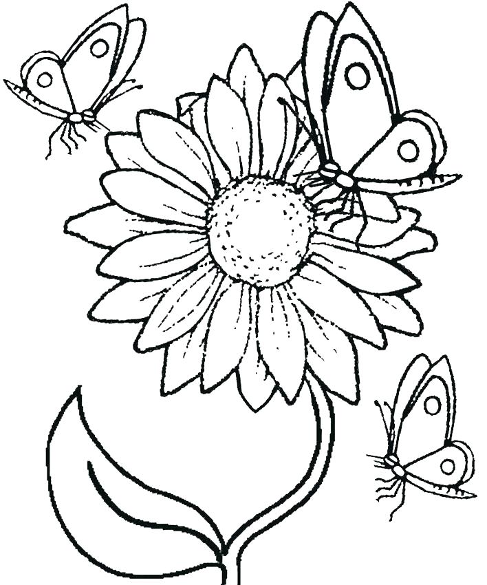708x850 Sunflowers Coloring Pages Van Van Gogh Sunflower Colouring Pages