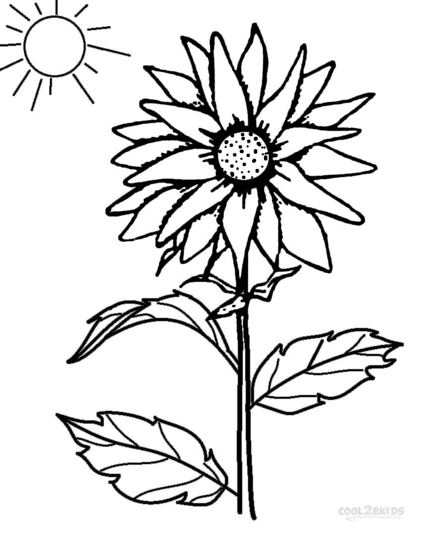 850x1082 Printable Sunflower Coloring Pages For Kids Sunflower
