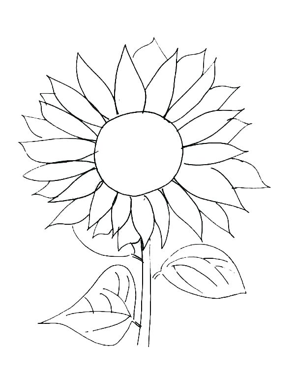 600x781 Sunflower Garden Coloring Page Pages Ornaments Best For Coloring