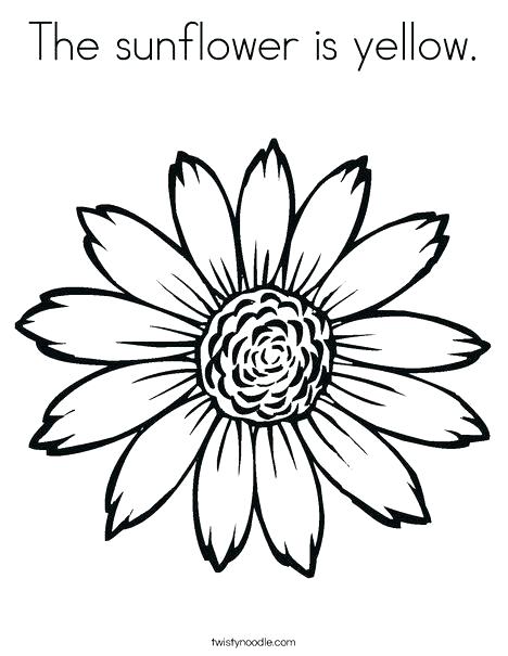 468x605 Sunflower Coloring Sheets Free Coloring Pages For Kids Sunflower