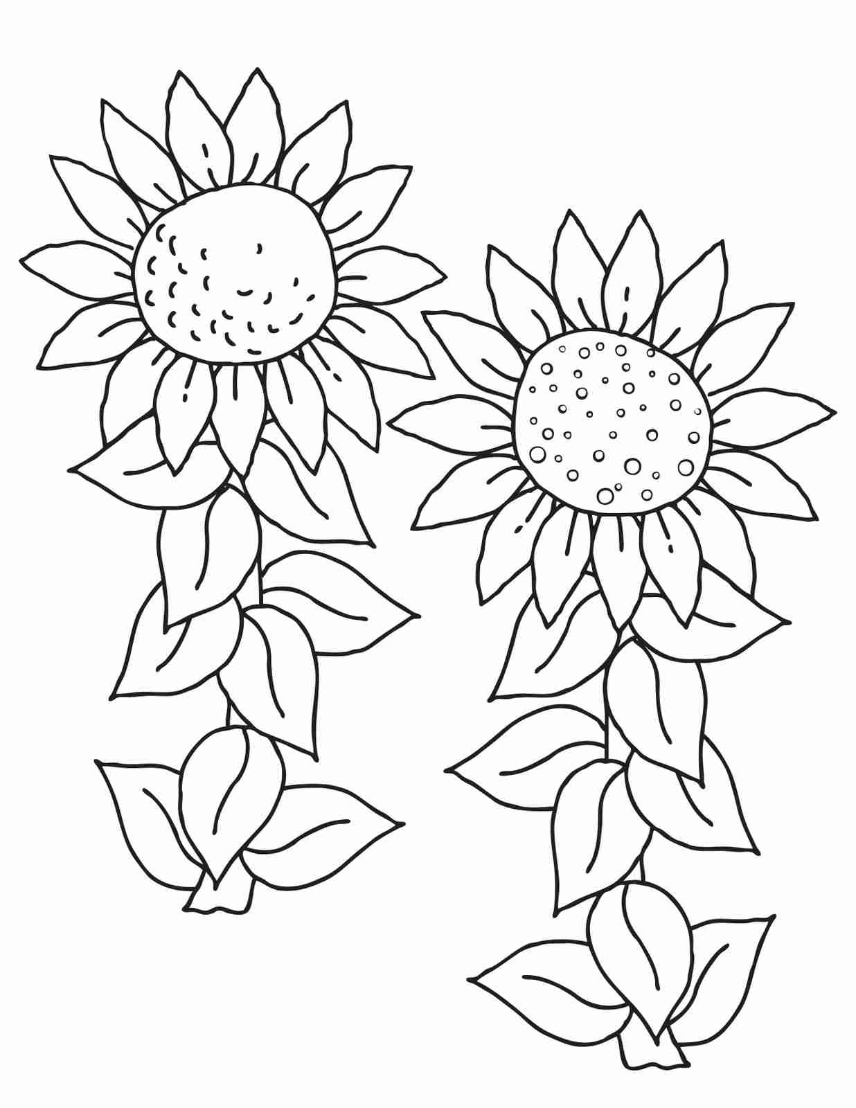 1236x1600 Sunflower Coloring Pages For Adults Coloring Pages Tearing Olegratiy