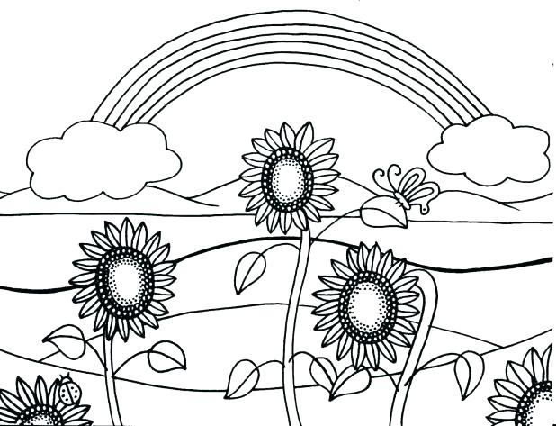 618x473 Sunflowers Coloring Pages Sunny The Sunflower Page Free Printable