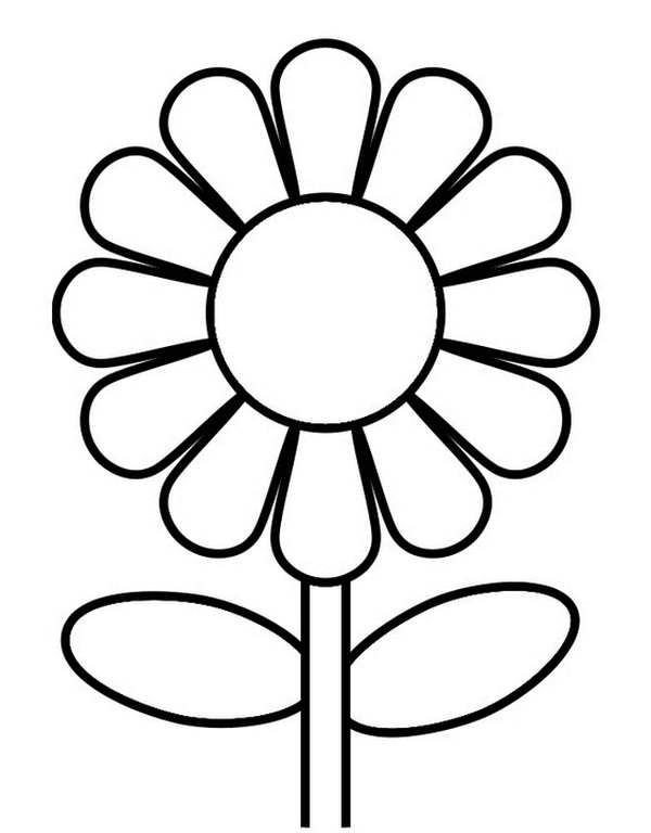 600x768 I Have Download Beautiful Sunflower Coloring Page Stuff