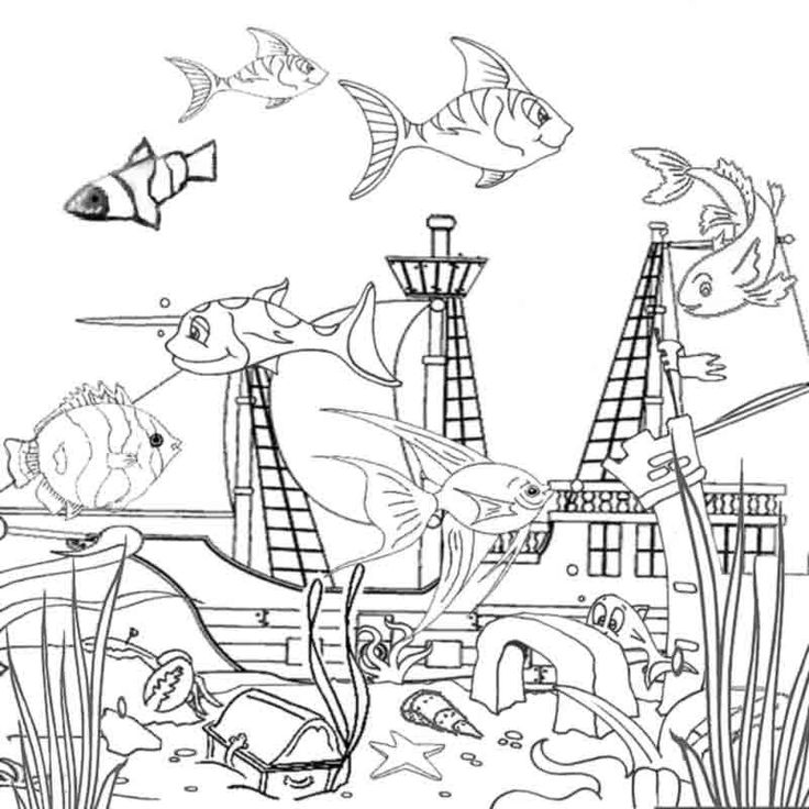 736x736 Best Nature Coloring Pages Images On Ocean Coloring