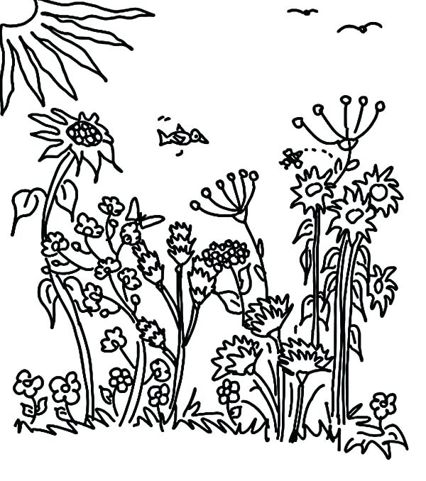 600x678 Coloring Sunny Day Coloring Pages