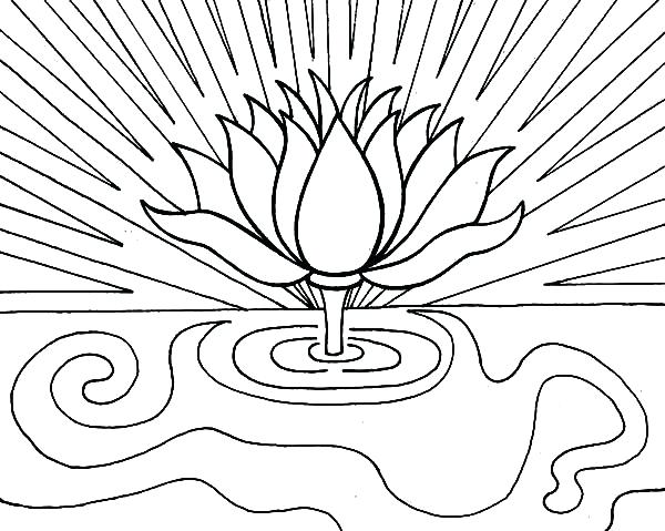600x479 Coloring Pages For Kids Disney Download Lotus Flower Growing