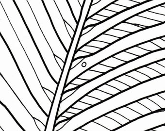 340x270 Beach Sunrise Coloring Page Embroidery Pattern Beach Art