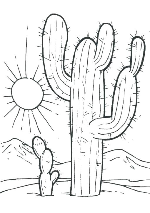 510x724 Saguaro Cactus Coloring Page Cactus Coloring Page T Sunset