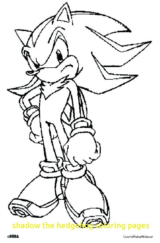 520x790 Shadow The Hedgehog Coloring Pages With Shadow Coloring Pages