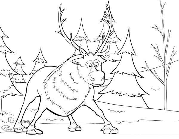 600x464 Sven From Disney Movie Frozen Coloring Page