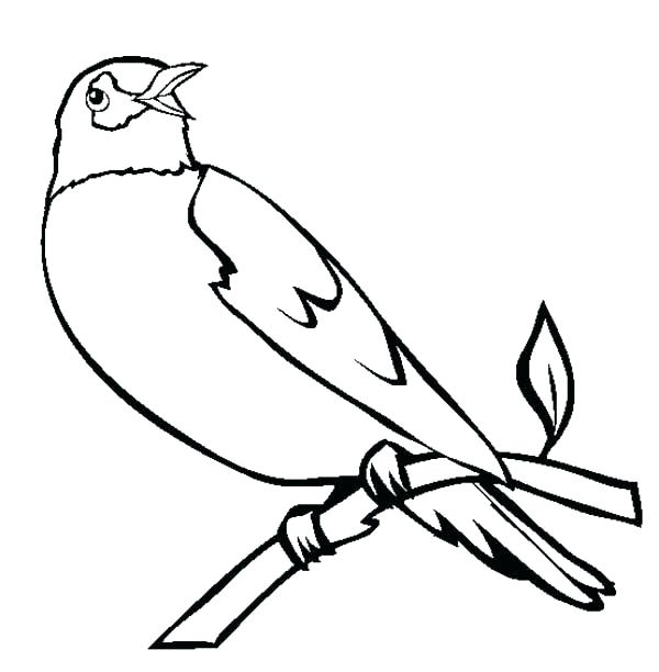 600x612 Coloring Page Bird Robin Bird Coloring Pages Birds Robin Bird