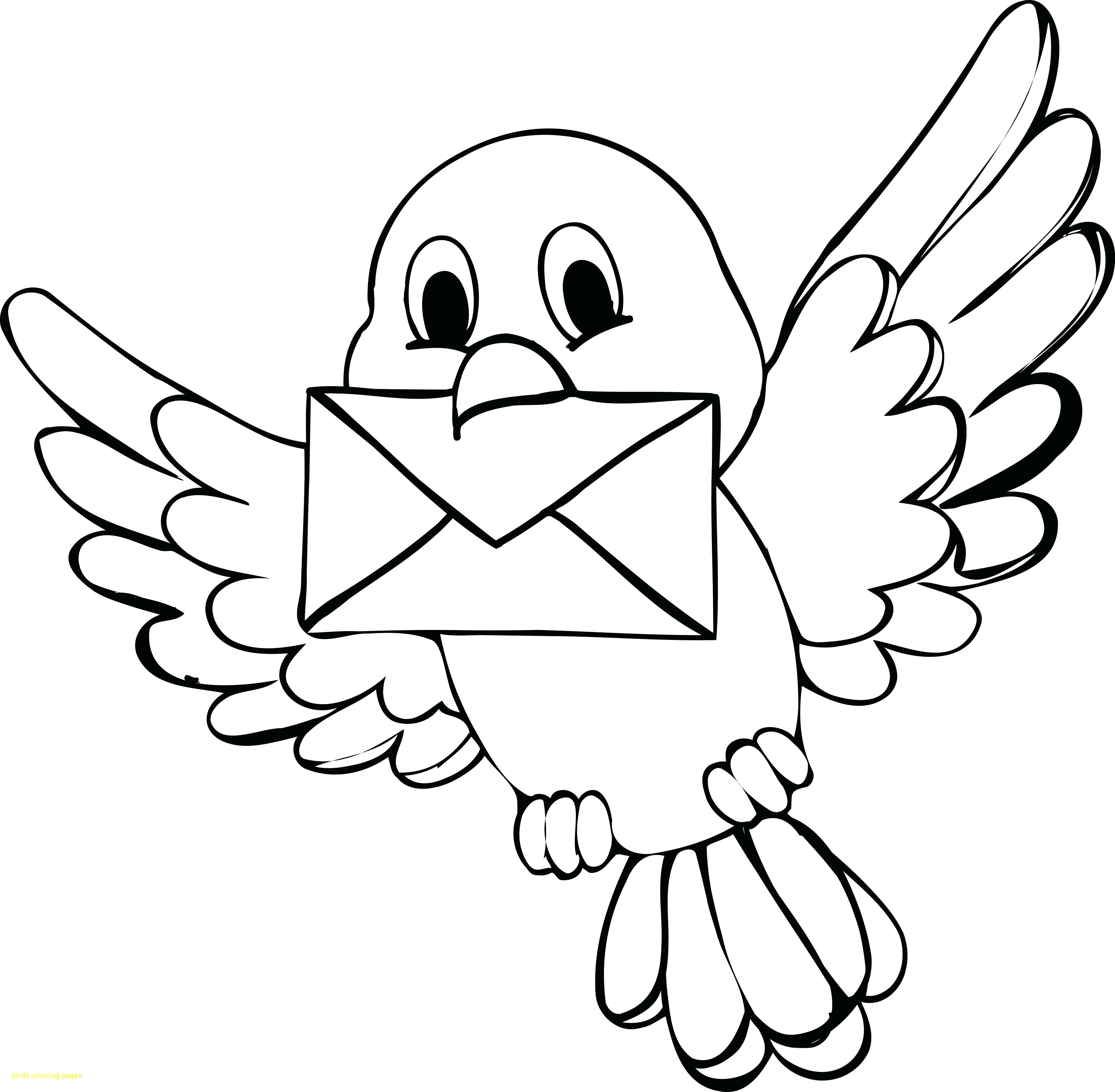 3851x3773 Coloring Pages Birds Flying Fresh Swallow Page
