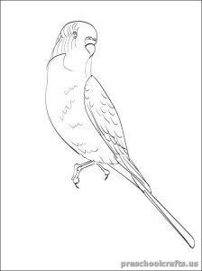 224x300 Best Swallow Coloring Pages Images On Kindergarten