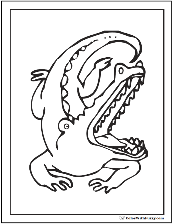 590x762 Alligator Coloring Pages Print And Customize